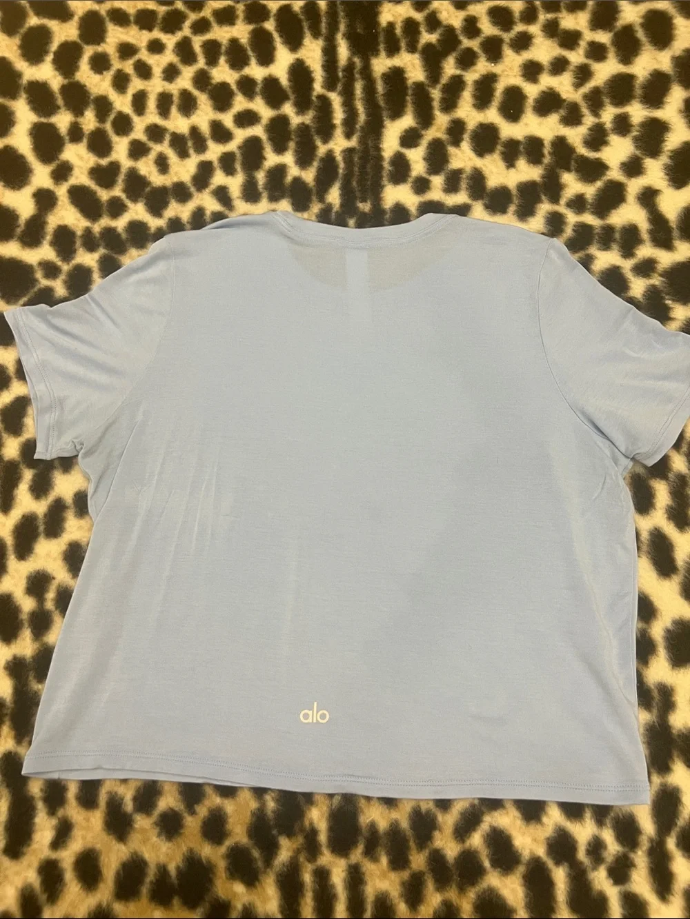 Alo Yoga Seashell Blue Cropped All Day Short Sleeve Small